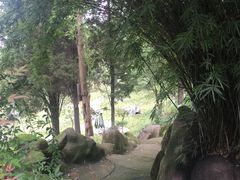 -富乐山