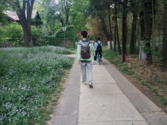 -北京大学百年讲堂
