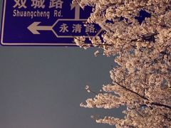 -永乐路-路侧停车场