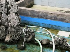 -寻味肇庆·八姑农庄·广府西江菜