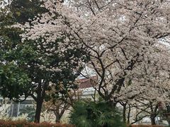 -南浦大桥长途旅游客运站