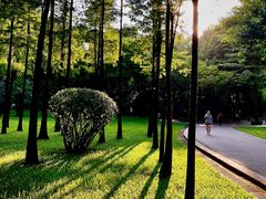 -晓港公园