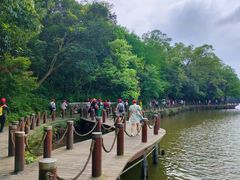 -深圳仙湖植物园