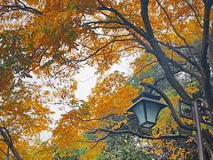 -杭州半山国家森林公园