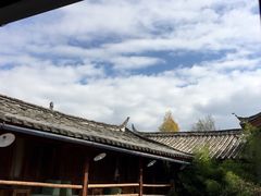 -田德能咖啡博物馆