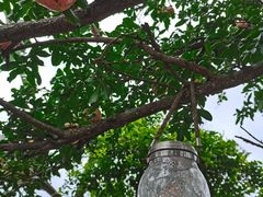 -悦哉·派对·草坪婚礼·围炉煮茶(三圣乡店)