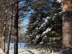 -北极村旅游风景区