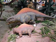 -湖南省地质博物馆