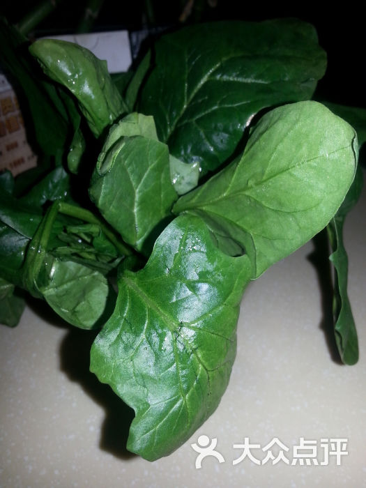 香草香草云南原生态火锅(蒲黄榆店)香草2图片 - 第2573张