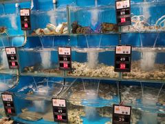 -苏大嘴海鲜牧场(奥林匹克店)