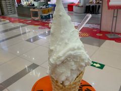 -野人先生Gelato(上海长宁龙之梦店)