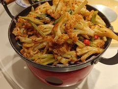 -新侨小馆(东直门北小街店)