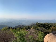 -鲁山国家森林公园