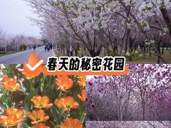 -石家庄市植物园