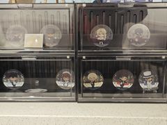 -IPSTAR|潮玩星球(天府广场店)