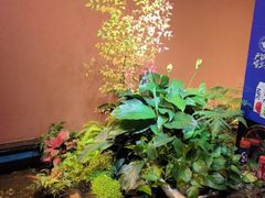 -隐炉和牛烧肉店(群力店)