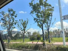 -西湖文化广场