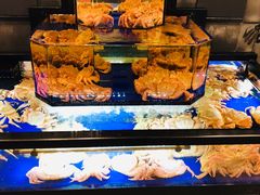 -蟹道乐(道顿堀本店)