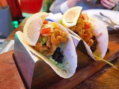 -Famous肥猫墨西哥音乐餐吧(五棵松华熙LIVE店)