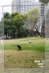 -耐味林月子会所(黄兴公园店)