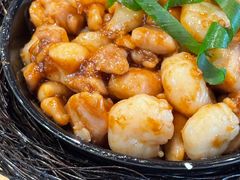 -丁老爷子苏香圆