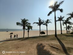 -黄金海岸环岛路