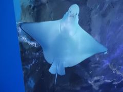 -常州海昌海洋探索馆