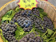 -东海森林温泉度假酒店