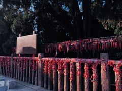 -四门塔风景区