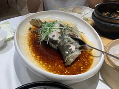 清真鲈鱼-大海湾酒楼(人南店)