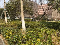 -玉山公园