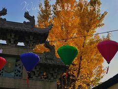 -惠山古镇·寄畅园