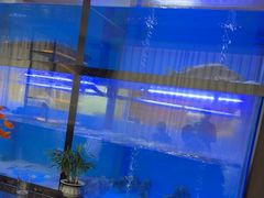 -聚宾楼·烤鸭·家宴(科技三路店)
