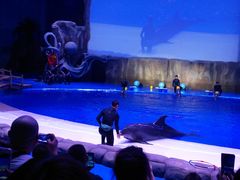 -华夏文旅海洋公园