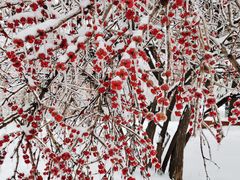 -长春公园(普阳街道)