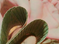 -悠提茶饮(紫峰广场店)