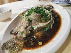 清蒸桂花鱼-鲤鱼塘农家山庄