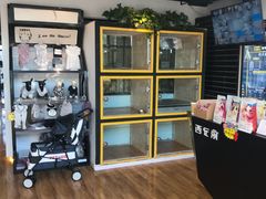 -西元前宠物酒店(郑庄府邸店)