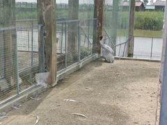-盐城丹顶鹤湿地生态旅游区