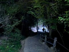 -紫金山天文台