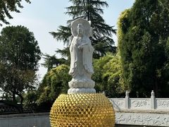 -泰山风景名胜区-普照寺