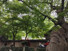 -青岛崂山太清宫