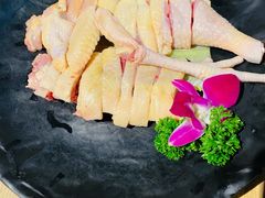 -顺德公广东猪肚鸡·煲仔饭(白石洲店)