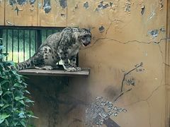 -青藏高原野生动物园