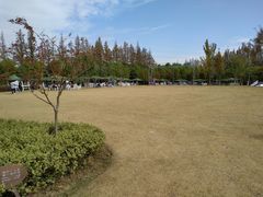 -上海长兴岛郊野公园