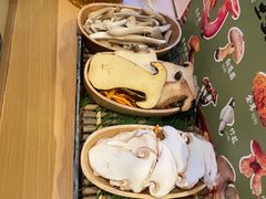 -季季山·云南野生菌火锅(上海首店)