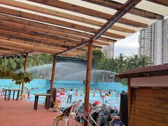 -亚马逊丛林水乐园