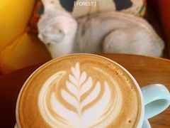 -咖法森林·咖啡  酒吧(天河店)