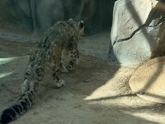 -青藏高原野生动物园