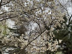 -呀路古热带植物园